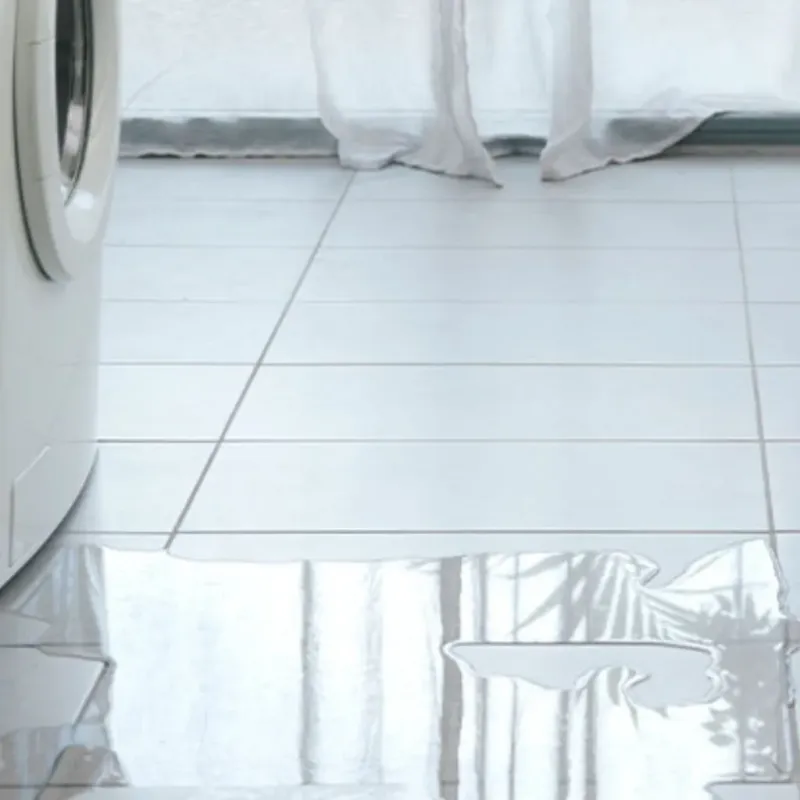 Appliance Leak Cleanup in Santa Monica, CA
